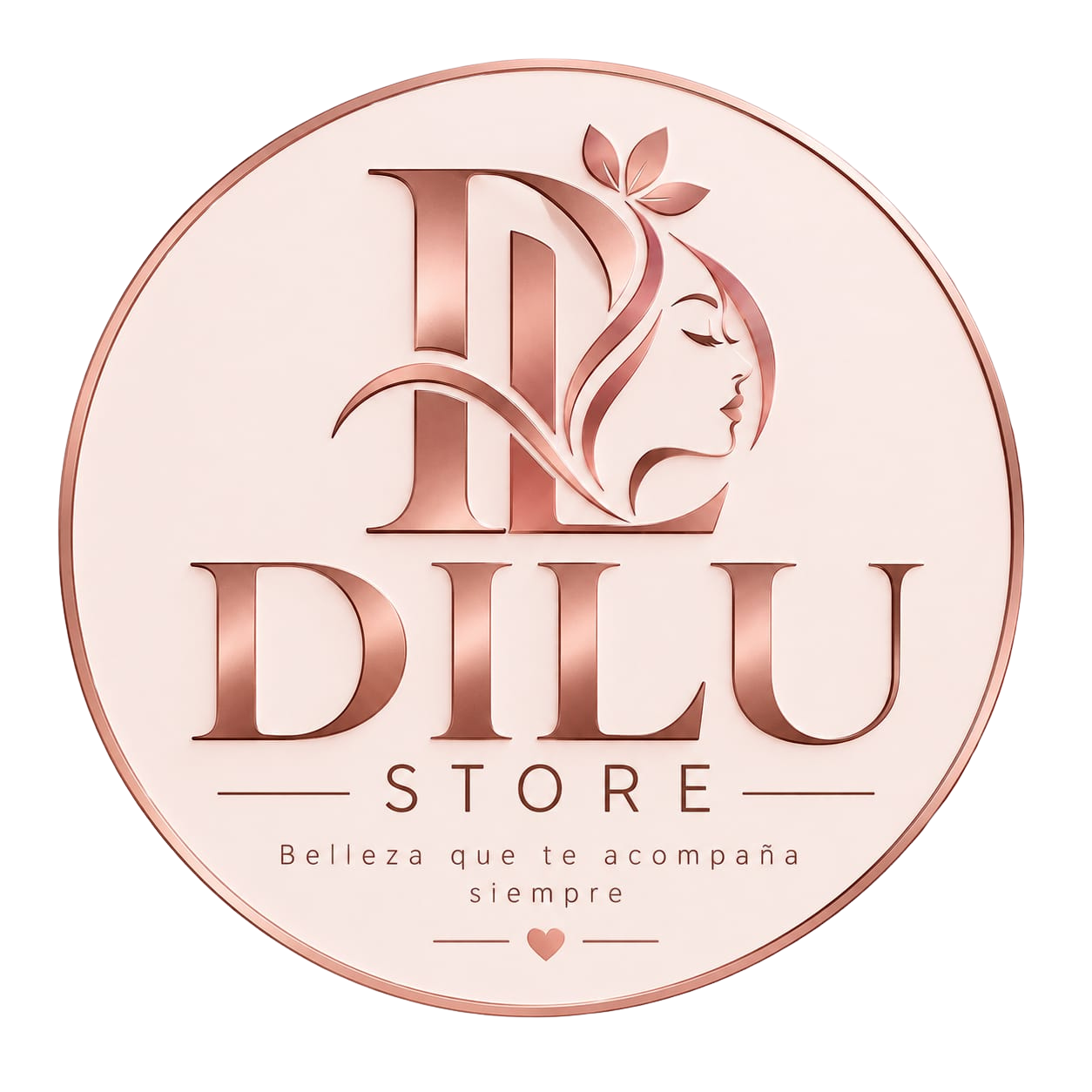 DILU STORE